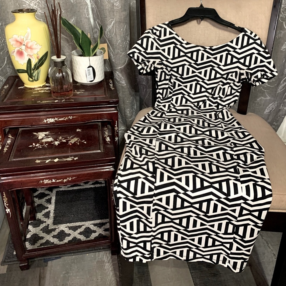 Zara Trafaluc knee length dress